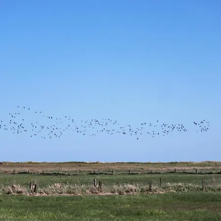 'golsmaas' - Refugium Pottloch Ostsee
